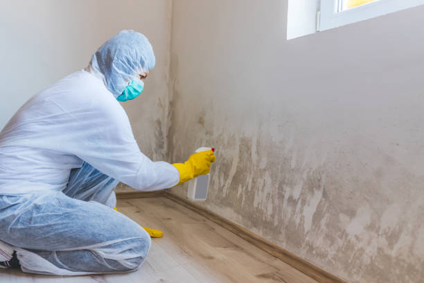 Mold Remediation specialist working in Wyckoff