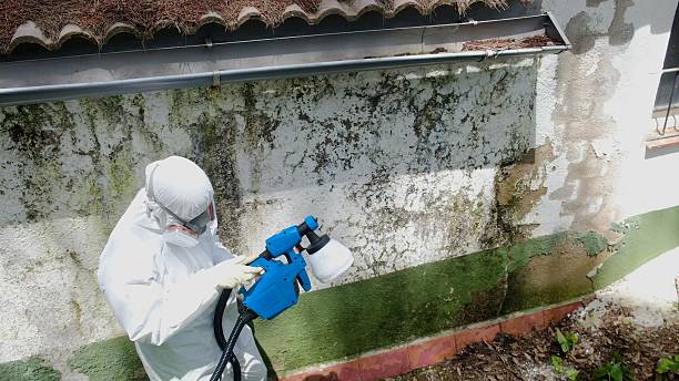 Mold Remediation service in Wyckoff, Wyckoff, NJ